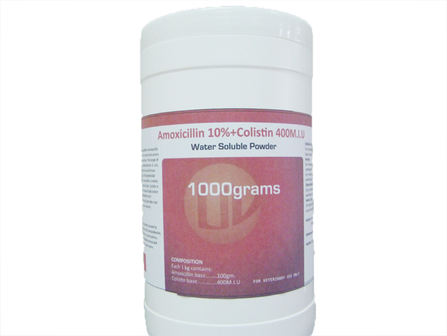 Amoxicillin +Colistin Water Soluble Powder